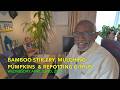 Bamboo Stir Fry, Mulching Pumpkins & Repotting Citrus
