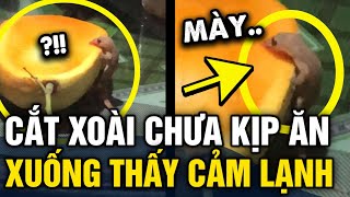 Cắt Nửa Trái Xoài Chưa Kịp Ăn Cô Gái Xuống Bếp Thấy Cảnh Cảm Lạnh Tin 3 Phút