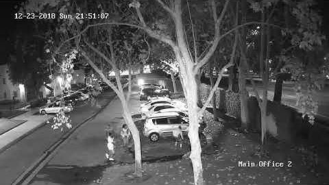 Vdointel catch of the Month