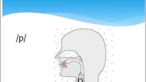 Letters  sounds  phones  phonemes  allophones  con/dr sadiq altamimi