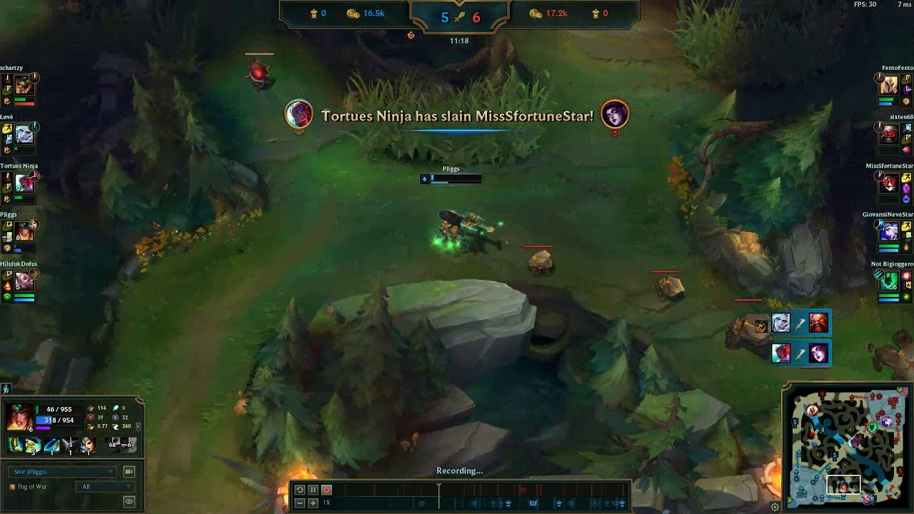 Sivir and the ducklings