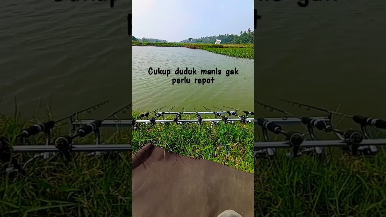 Beginilah caranya mancing cotton Bud tinggal duduk manis.. 