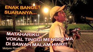 My Sun – Agnez Mo (Live Acoustic Cafe) | Bedenk Cafe in the Middle of the Rice Fields