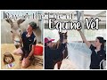 DAY IN THE LIFE OF AN EQUINE VETERINARIAN