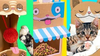 Meeeow! learn to make 5 fantastic and useful crafts for cats kittens!
here's what we'll make: 1 - cat bed! 2 restaurant! 3 toy! 4 carri...
