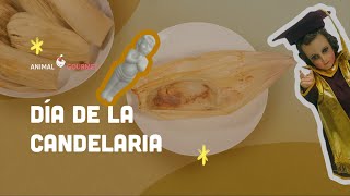 La historia infinita de los TAMALES EN MÉXICO – HISTORIAS DE COCINA