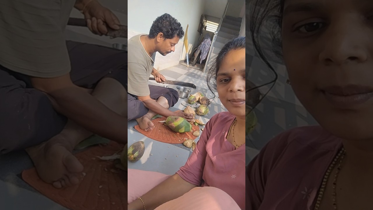 పిల్లనిచ్చిన మామతో ego ఎందుకు 