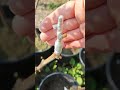 Asılarımızda son durum böyle