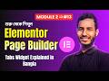 Elementor Tabs Widget Explained in Bangla | Elementor Free Tutorial Bangla Full Course (Part 13)
