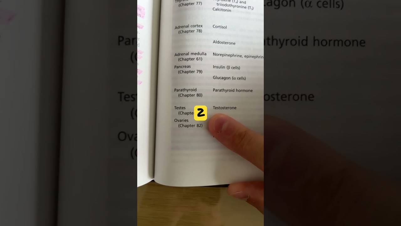 Physiology quiz #31 - Ovarian hormones | StudyThis!