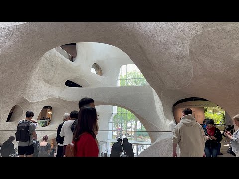 American Museum Of Natural History Walkthrough | New York Most Exciting Place For Visitors | Part 1