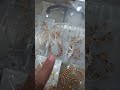Live highlight