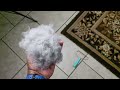 Middle of video