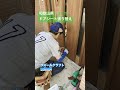 ドアシート張り替え #リフォーム #リフォーム #壁紙diy #掃除 #模様替え #模様替え #リノベーション #マイホーム #施工 #職人