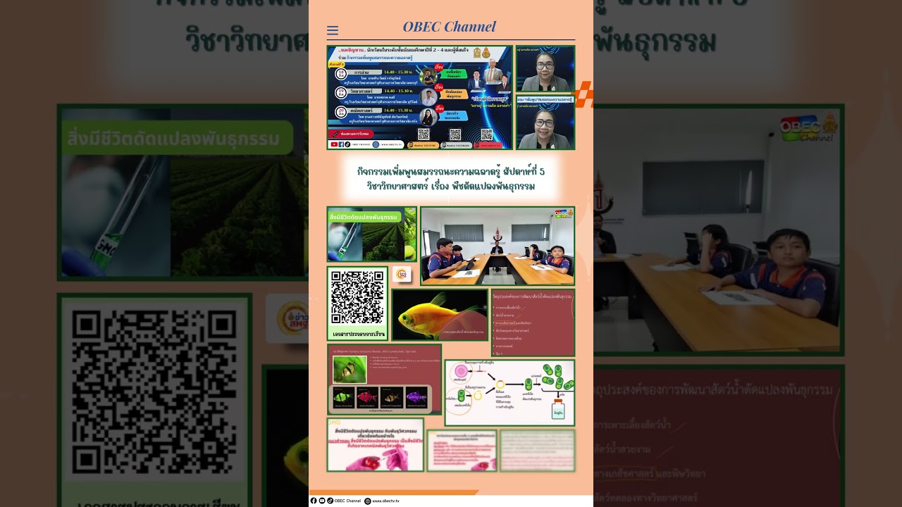 News Update EDU Thursday 19 June, 2025  #สพฐ #สพฐ #news #obec #education #กระทรวงศึกษาธิการ #school
