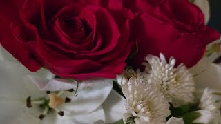 Amy's Memorial Video