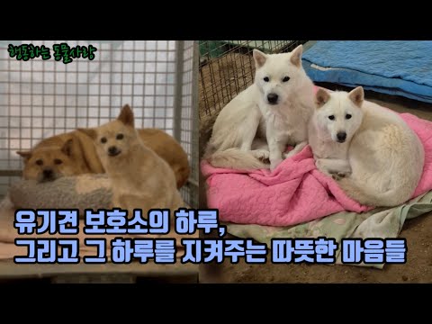 믿고 후원해주시고, 응원해주시는 마음을 지키는 일, 그것이 저희의 가장 큰 책임입니다.