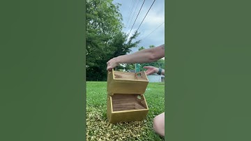 DIY! This video contains music from Shutterstock, licensed by Splice video editing app. #onions #diy