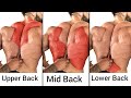 Top 4 upper middle  lower back exercises to grow bigger back  gym workout