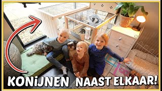 WE ZETTEN DE KONiJNEN KOOiEN NAAST ELKAAR EN DiT iS WAT ER GEBEURD 🐰✌🏻 | Bellinga Vlog #2354