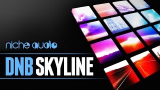 DNB Skyline Maschine Expansion Ableton Live Pack - From Niche Audio