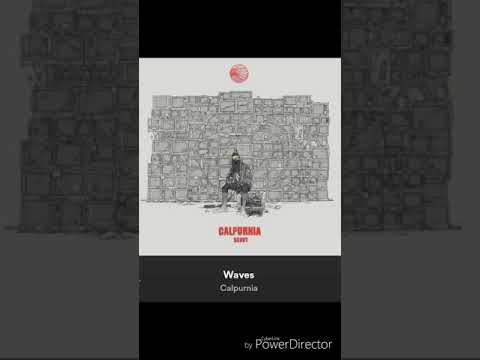 Calpurnia- Waves