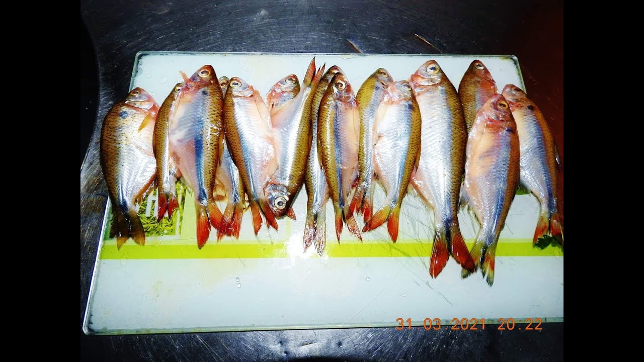 Faço lambari assim. Fica igual sardinha