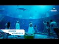 Admission With A Mission | SeaWorld Yas Island, Abu Dhabi