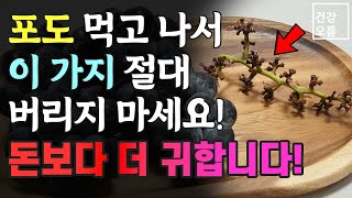 포도 먹고 나서 이 가지는 절대로 버리지 마세요! 돈보다 더 귀합니다.