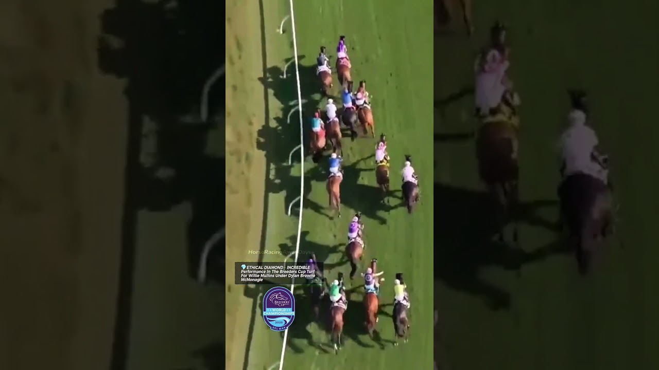 🤯INCREDIBLE - Watch How ETHICAL DIAMOND won The Breeders Cup Turf Under Dylan Browne McMonagle 