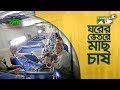 Indoor fish farming | ঘরের ভেতর মাছ চাষ | Shykh Seraj | Channel i |