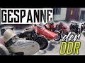 EDELWEISS Report | Motorrad Gespanne der DDR