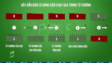 Dây dẫn điện có dòng điện chạy qua trong từ trường
