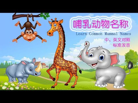 学习中文-哺乳动物名称（Learn Chinese- Common Mammal Names）-中英对照，标准发音