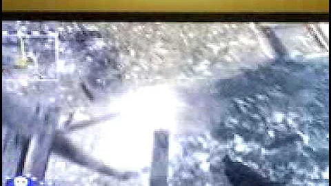 cod 5 makin day glitch