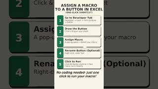 Assign a Macro in Excel | Step-by-Step Guide 🖱️⚡