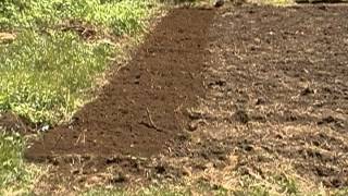 garden rototiling