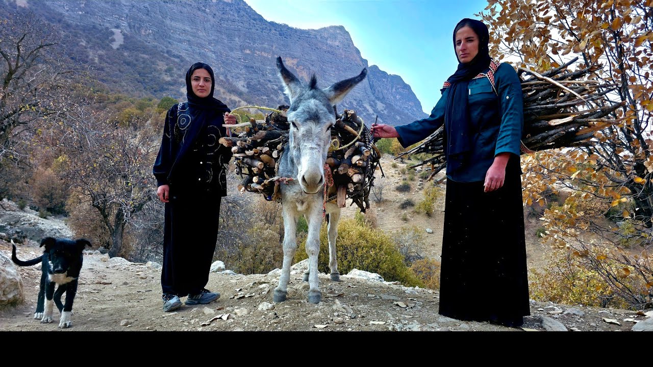 Nomadic life 🌿 | Gathering firewood by nomadic women in the mountains 🏞 ...