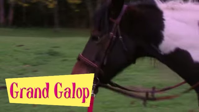 Grand Galop 122 - Le Journal intime de Lisa | HD | Épisode Complet