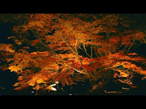 御船山楽園の紅葉[Hi-res/4K SAGA]