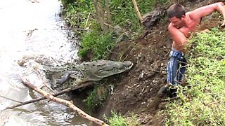 Life-Ending Crocodile Attacks *MARATHON*