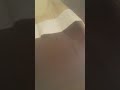 لم يخطر ع بالي أنه نائم هناك القط ريتشي