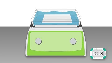 Quick Tips: Optimizing the Blocking Step in Western Blotting