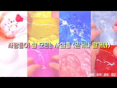 사람들이 잘 모르는 사실들(믿거나 말거나) #액괴 #시리즈액괴 #액괴시리즈 #시액 #대규모시리즈액괴 #액시 #대시액