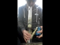 Big Bong Hits w/ new bongg
