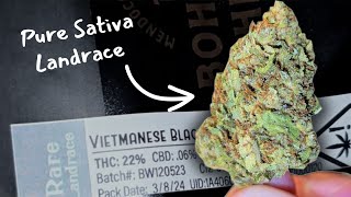 Cali Weed Strain Review #15 | Trying Extremely Rare Exotic Weed! Bohemian Chemist's Vietnamese Black