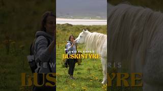Si tu rêves de découvrir ce genre de lieux en Écosse 🐎🌊 je suis travel planner.