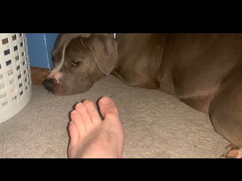 Inside LyraCrow's OnlyFans: Exclusive Sneak Peek