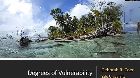 "Degrees of Vulnerability"