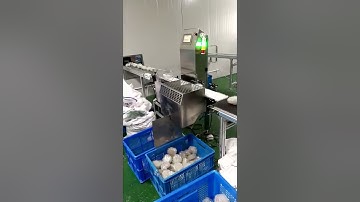 Check weigher with air blast rejection system